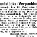 1877-09-04 Kl Verpachtungen Forst